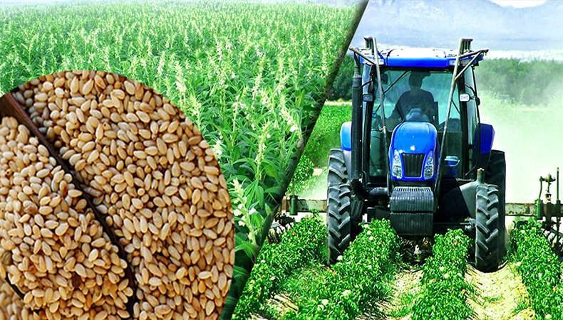 حضور ۹۵ شرکت در نمایشگاه ملی نهاده‌های کشاورزی و دام