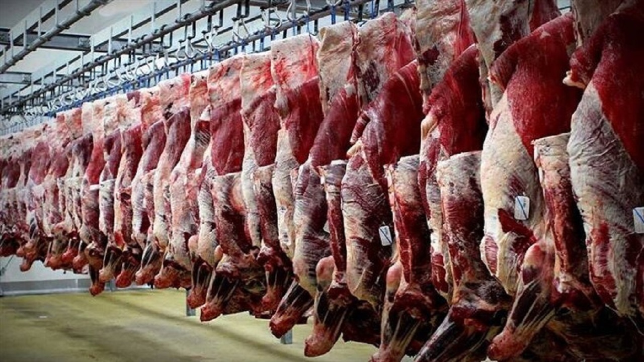 سرانه مصرف گوشت قرمز ایلامی‌ها ۲ کیلو بیشتر میانگین کشوری است