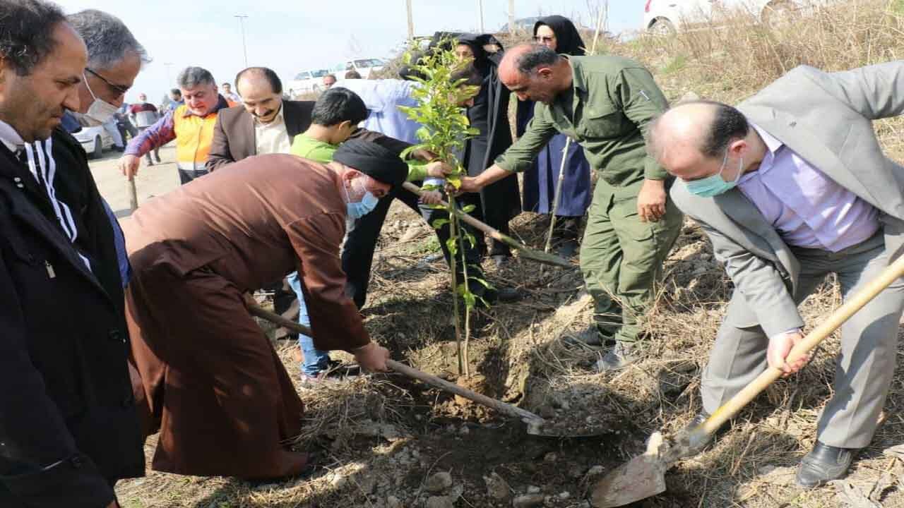 کاشت ۱۰ هزار نهال در طرح هر آملی یک درخت