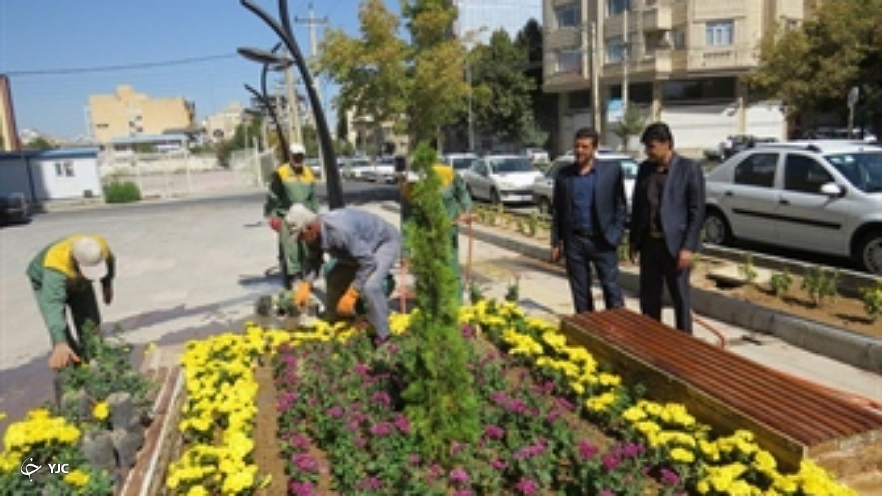 ۱۰۰ هزار اصله نهال رایگان بین شهروندان ارومیه توزیع می‌شود