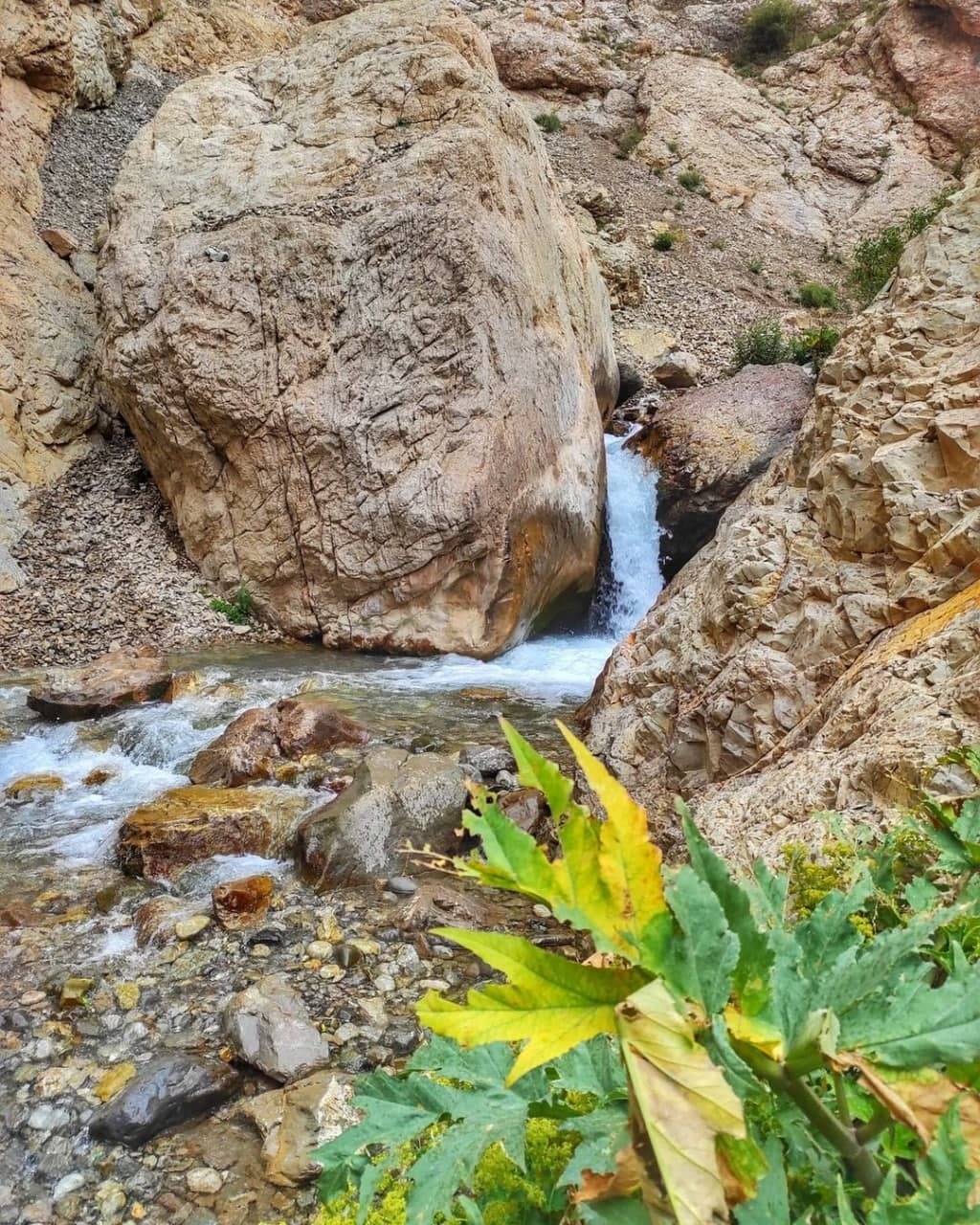 از
