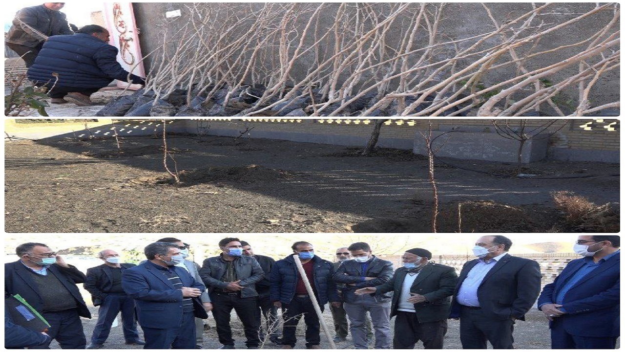 سپردن ۱۳۰۰ نهال میوه به دست خاک