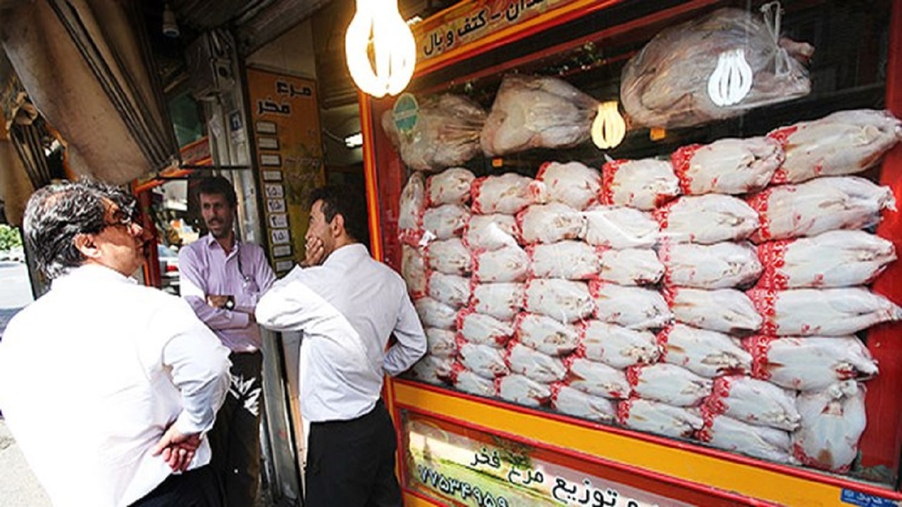 پایان روزهای ایستادن در صف توزیع مرغ تنظیم بازاری