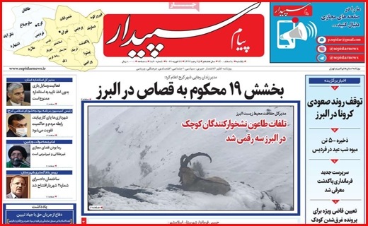 سپیدار