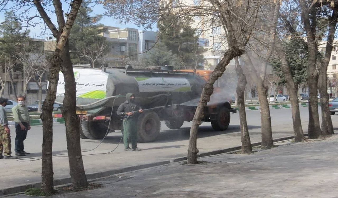 عملیات سم‌پاشی درختان با روغن «وُلک» برای نخستین بار در کرمانشاه
