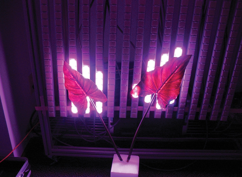 سیستم HELIAC