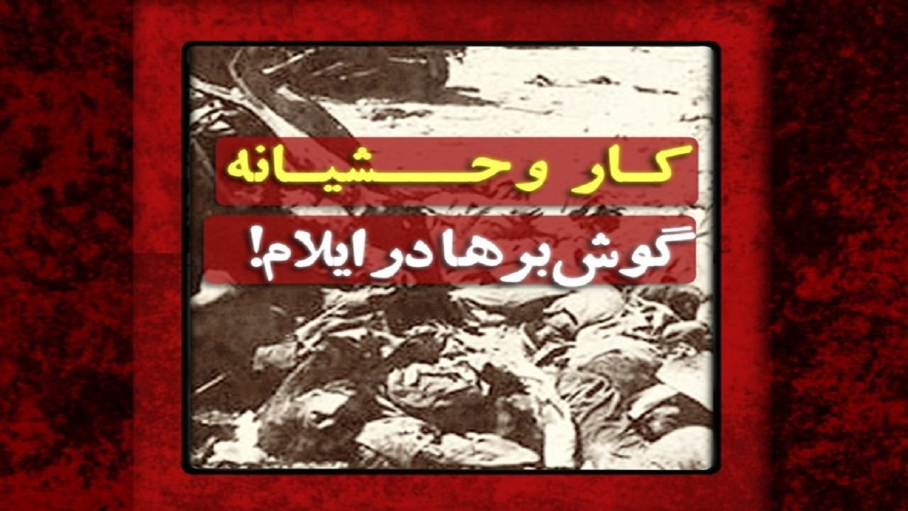 سرانجام گروهک گوش‌بر‌ها در ایلام + فیلم