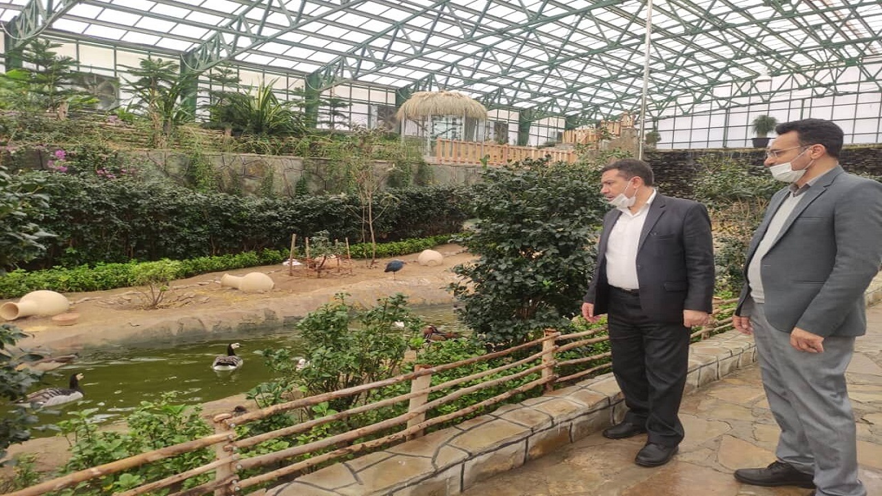 رعایت ضوابط زیست محیطی برای ادامه فعالیت باغ پرندگان قم ضروری است