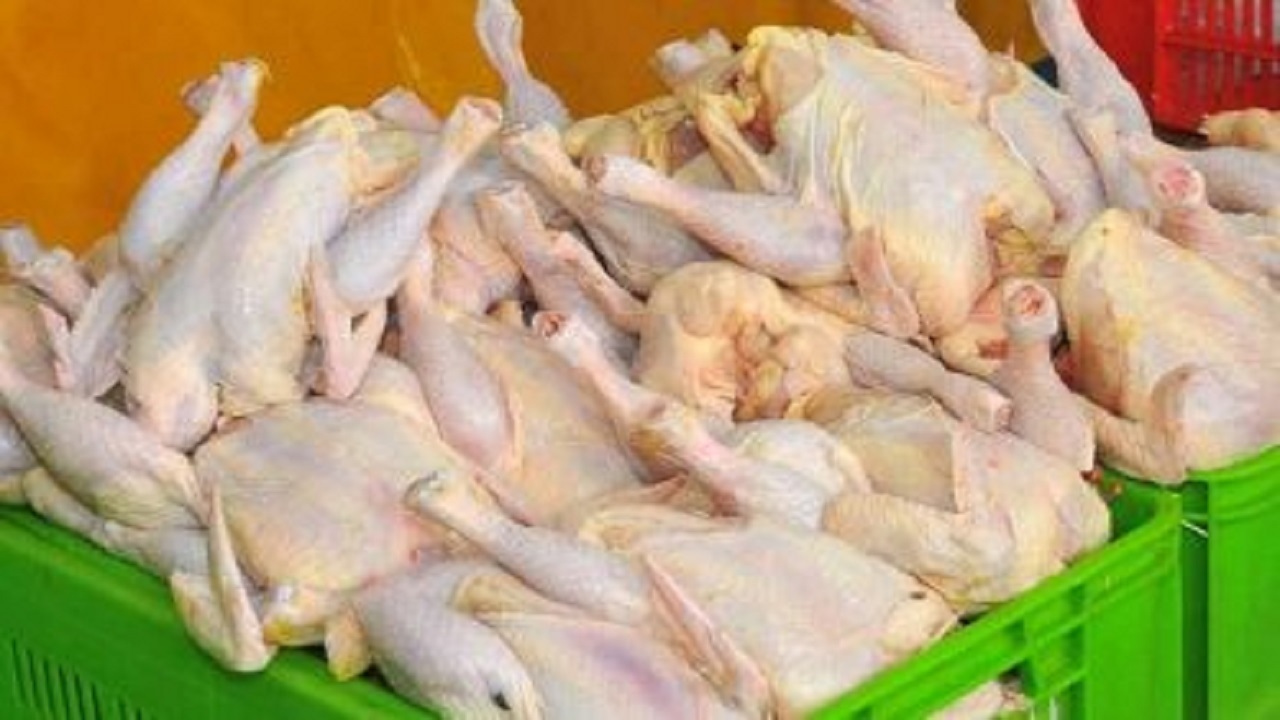 تأمین گوشت مرغ مورد نیاز ایام نوروز و ماه رمضان در اردبیل