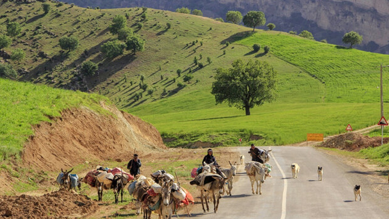 آغاز کوچ بهاره عشاير لالی به مناطق ييلاقي