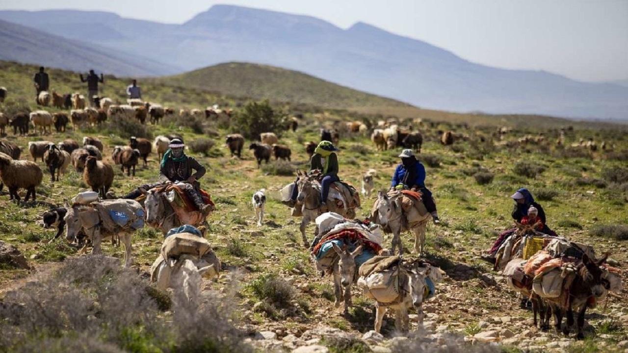 کوچ بهاره عشایر خراسان رضوی آغاز شد