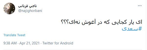واکنش کاربران در روز بزرگداشت سعدی