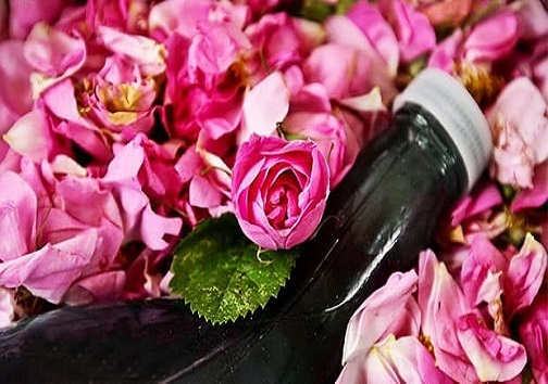 غنچه ی هزار درمان/ وقتی پای گلبرگ های گل محمدی به صنعت سرکه سازی باز می شود