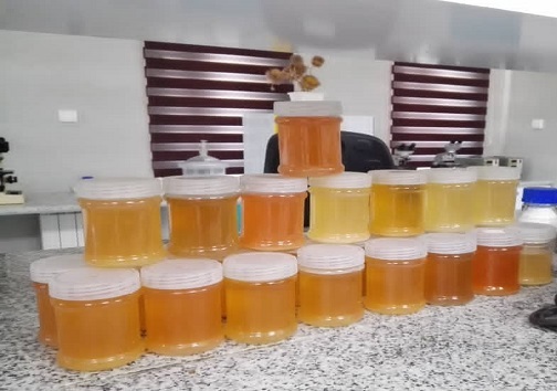 غنچه ی هزار درمان/ وقتی پای گلبرگ های گل محمدی به صنعت سرکه سازی باز می شود