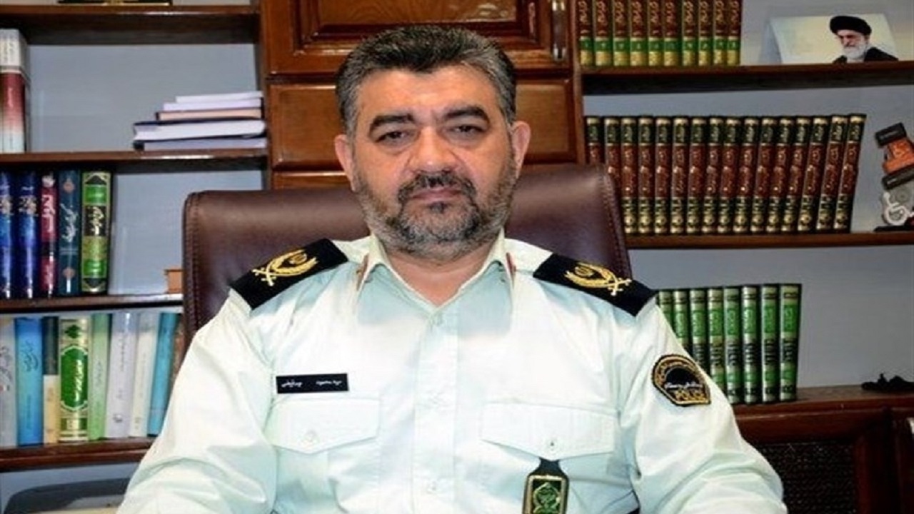 ۲۴ تن نهاده دامی قاچاق در قم کشف شد