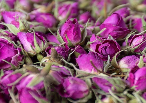 غنچه ی هزار درمان/ وقتی پای گلبرگ های گل محمدی به صنعت سرکه سازی باز می شود