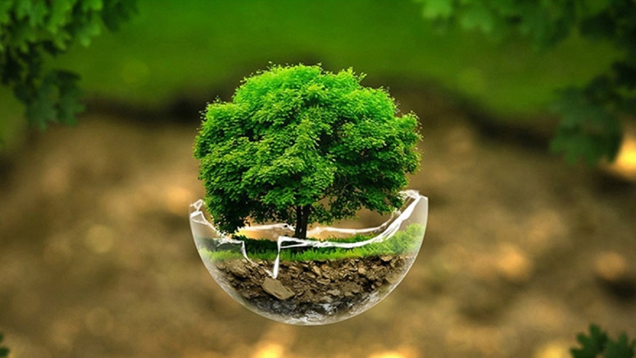 زمین سیاره ای که طبیعت آن رو به فراموشی است