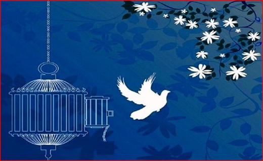 تزریق واکسن پولی نیست/ از مقنی گری تا مدال آوری/ خداحافظی کرج با شهرت باغ شهری