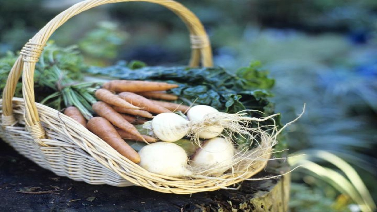 سیر تا پیاز پرورش سبزیجات در خانه