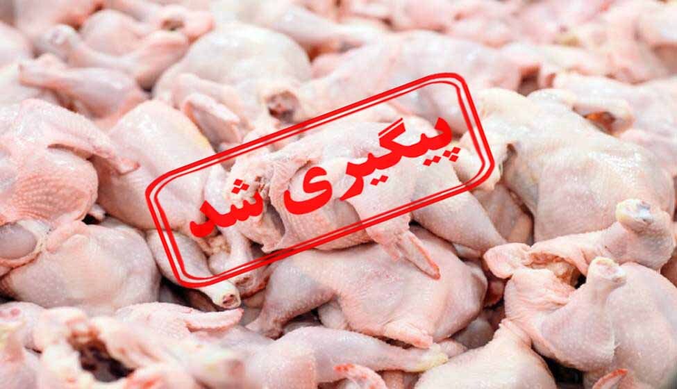 شهروندان شیرازی با کمبود مرغ روبرو هستند