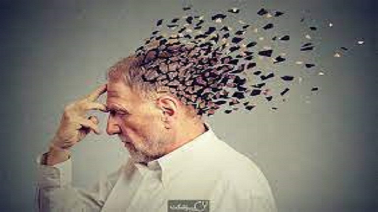 ۵ خوراکی مفید برای حل معضل فراموشی