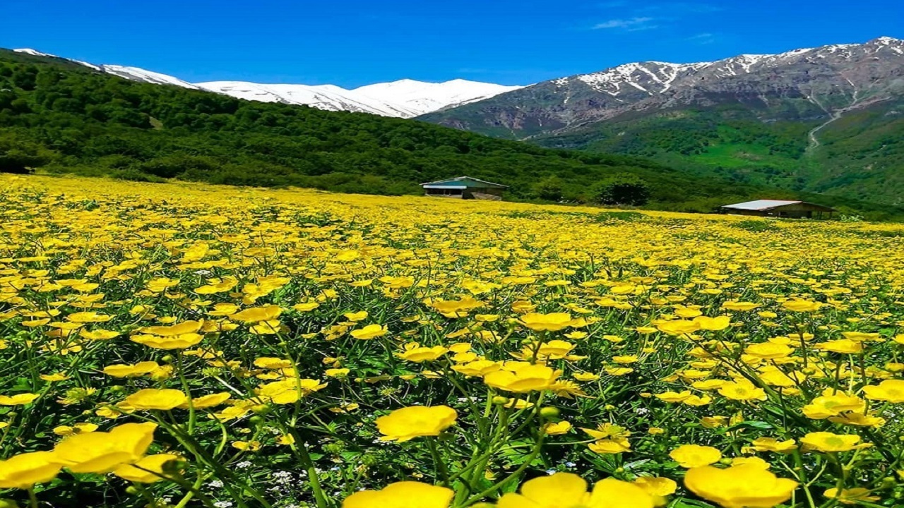 قاب‌هایی از طبیعت تماشایی تنکابن + تصاویر