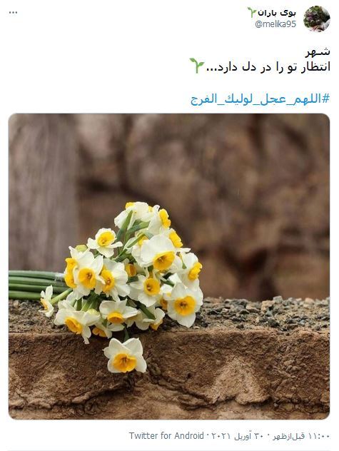 اللهم اللهم