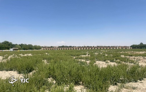 زنده رود یا سبزینه رود؟!