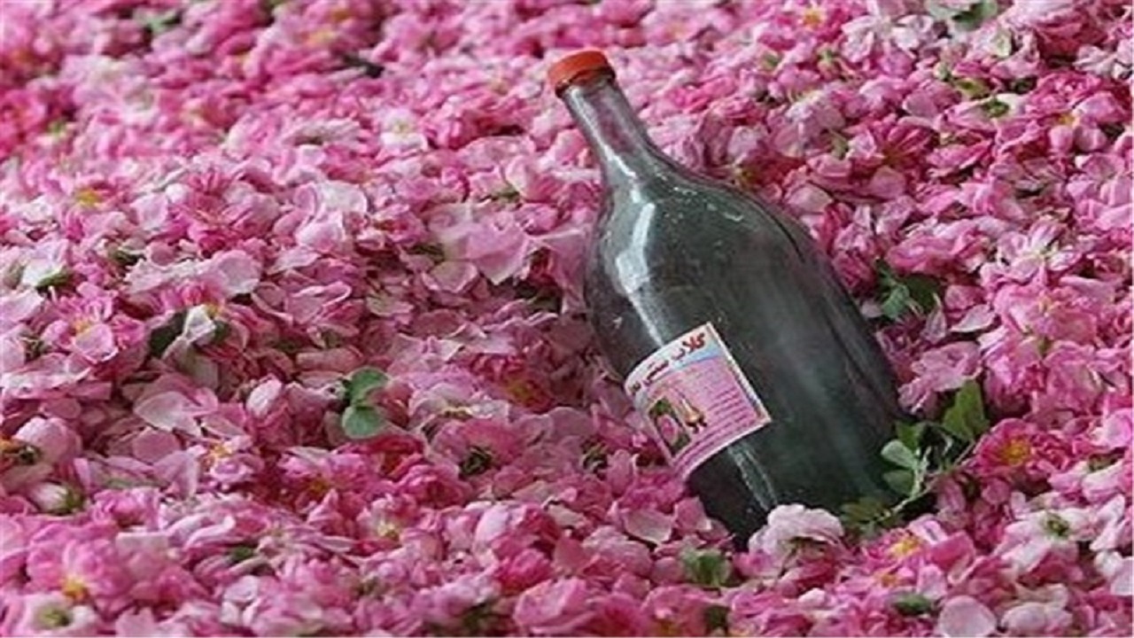 سفری مجازی به منطقه گل و گلاب در گرگان + فیلم