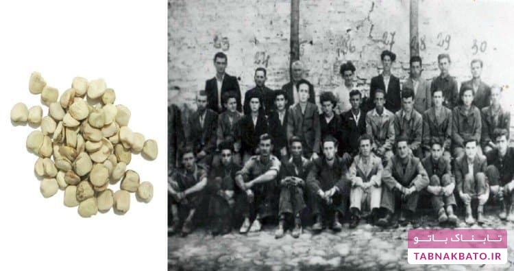معروفترین فجایعی که غذا در طول تاریخ رقم زد + تصاویر معروفترین فجایعی که غذا در طول تاریخ رقم زد + تصاویر