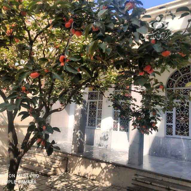 آشنایی با وزیری که جانش را پای دفن شرعی اموات &laquo;وبا&raquo; گذاشت