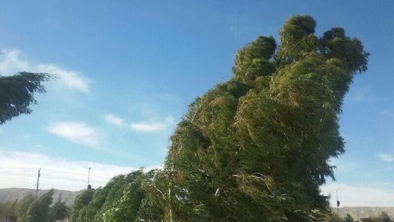 هشدار هواشناسی در خصوص وزش تندباد و خیزش گرد و خاک