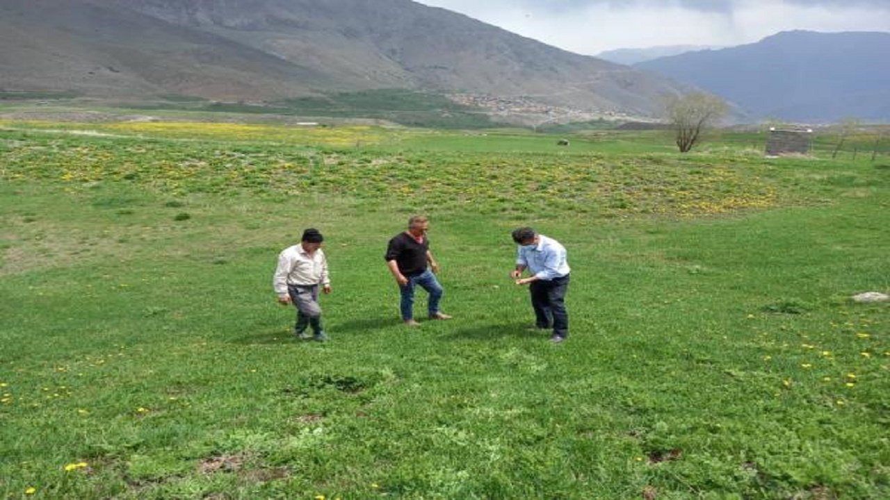 کانون یابی ملخ در اراضی کوهستانی آمل