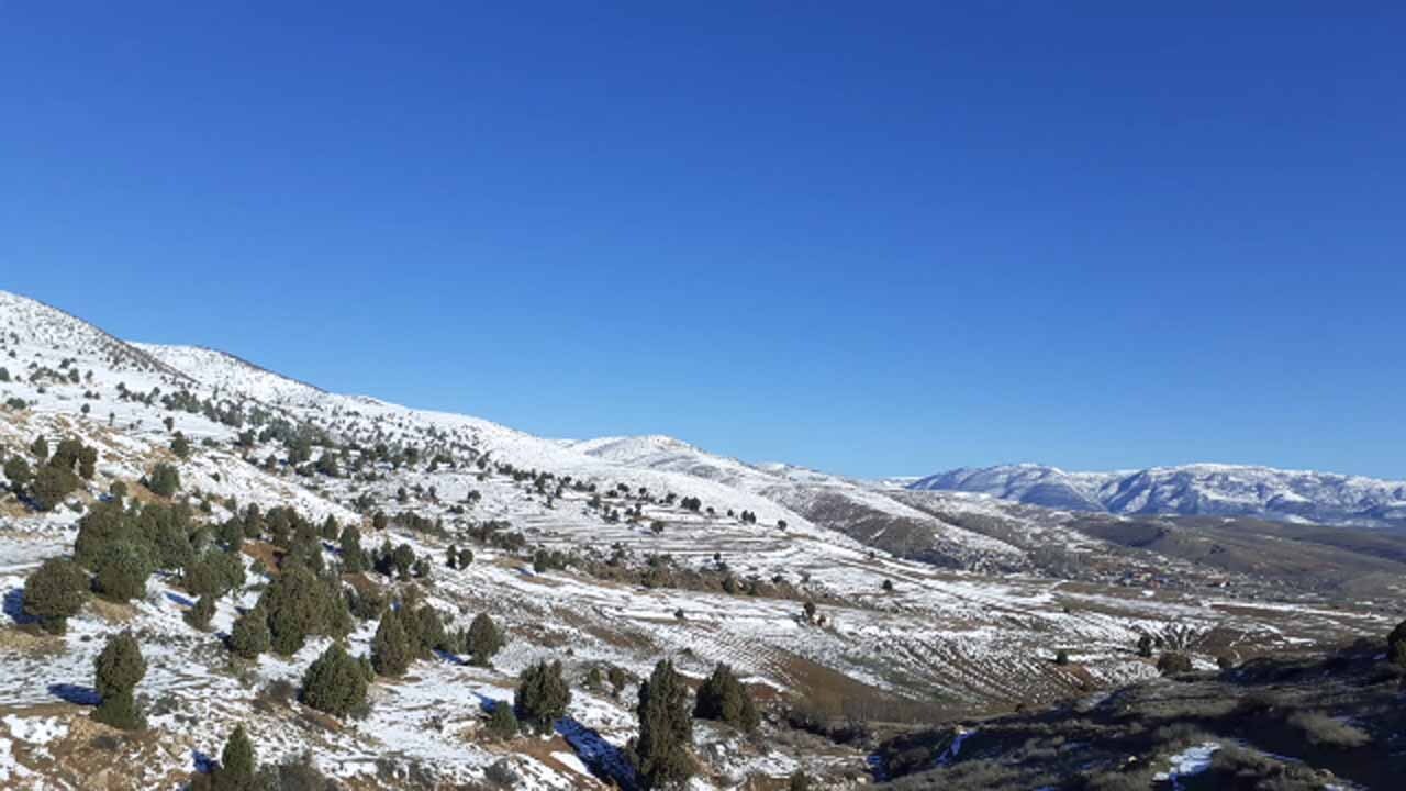 بارش برف بهاری در روستای آراء + فیلم