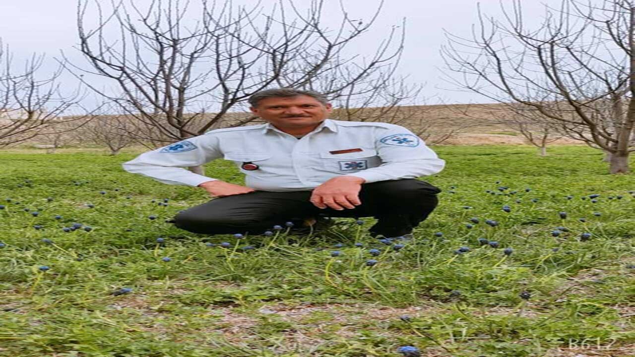 دومین شهید خراسان شمالی در جبهه سلامت آسمانی شد