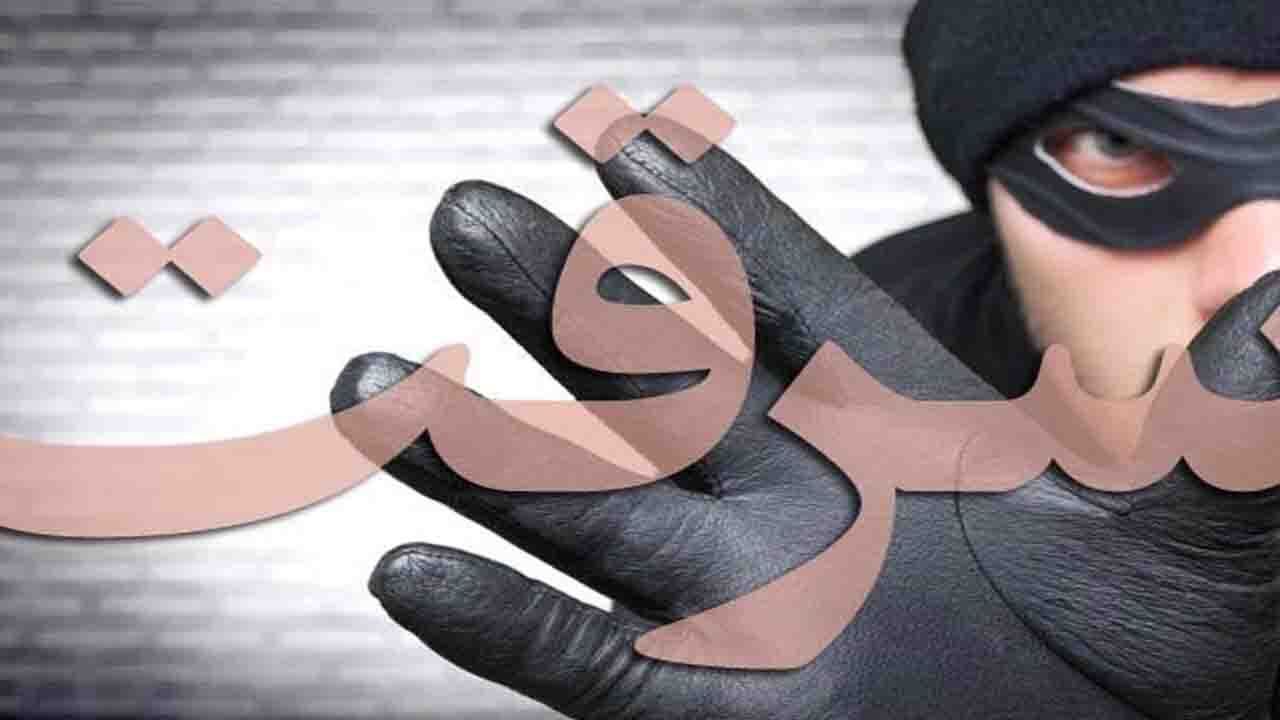 عجیب و غریب‌ترین سرقت‌های جهان + تصاویر