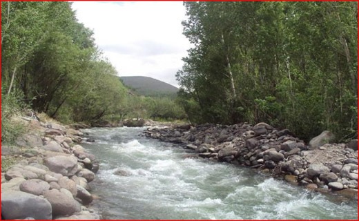 از کمبود مرغ مادر تا نبود جوجه یک روزه/ نوبر بی بر برای کشاورزان/ از زبالهگردی تا کارآفرینی از کمبود مرغ مادر تا نبود جوجه یک روزه/ نوبر بی بر برای کشاورزان/ از زبالهگردی تا کارآفرینی