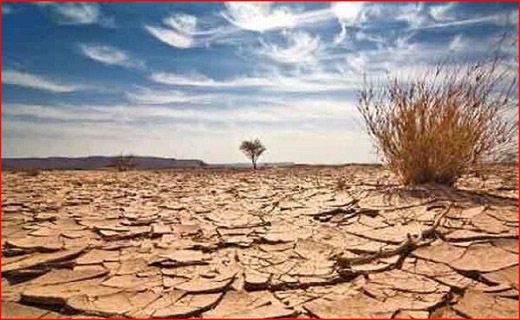 از کمبود مرغ مادر تا نبود جوجه یک روزه/ نوبر بی بر برای کشاورزان/ از زباله&zwnj;گردی تا کارآفرینی