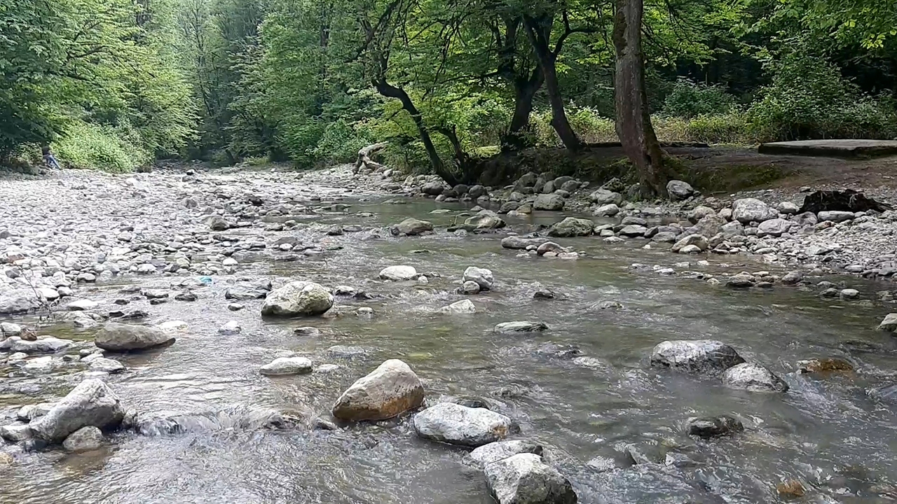 سفر به رودخانه تماشایی شیرآباد+ فیلم