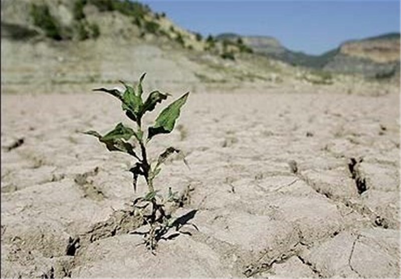 خسارت ۸۵ میلیارد تومانی کاهش بارندگی ها به مراتع استان همدان
