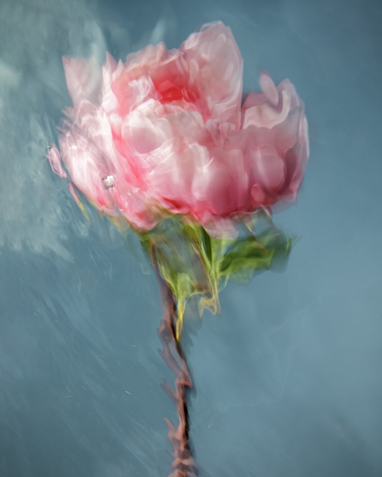  نقاشی 