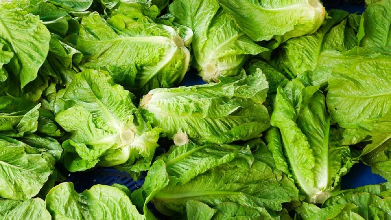 برداشت ۸۵ درصدی سوغات سبز در گلستان