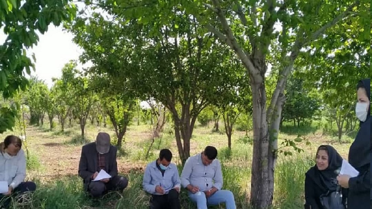 آموزش ۴۰ کشاورز قزوینی در قالب طرح سیدا