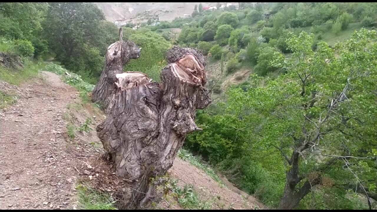 از