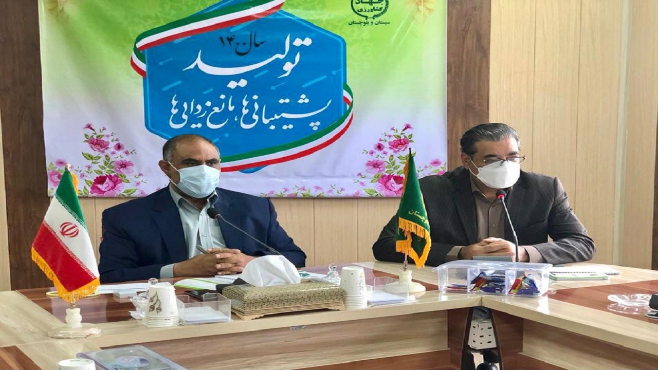بیش‌از ۱۳۳ هزار راس دام در سیستان و بلوچستان بیمه شدند