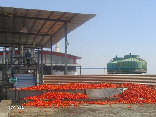 کارخانه رب در جنوب کرمان 