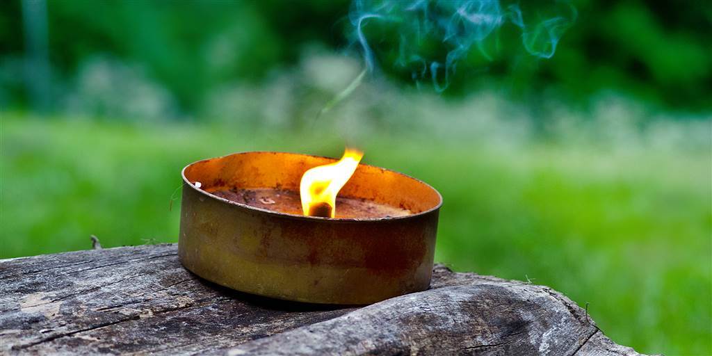 ۸ راهکار موثر برای دفع مگس و پشه از خانه در فصل تابستان