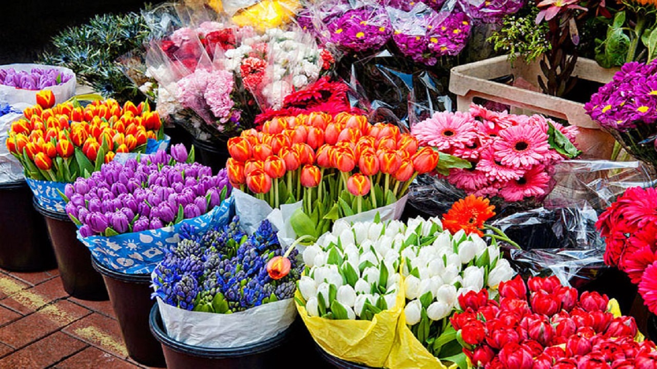 با راز و رمز خرید و نگهداری از گل‌های شاخه بریده آشنا شوید