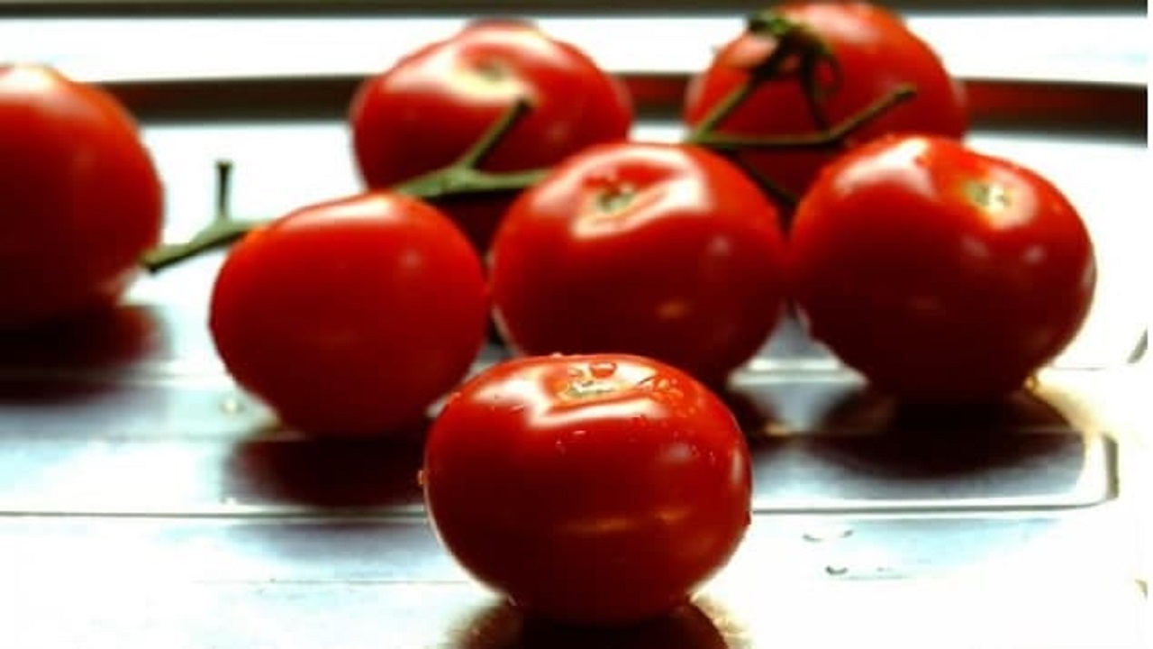 ۱۰ نکته برای رشد گوجه فرنگی