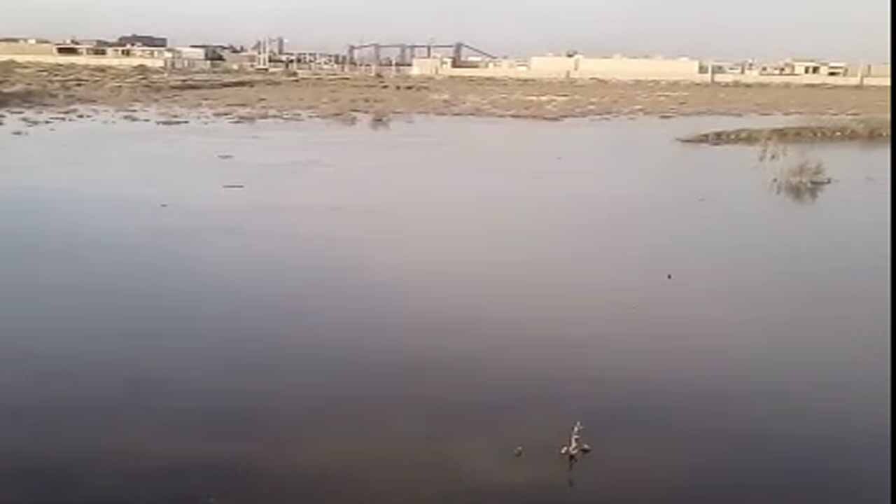 نگاهی به وضع اسفناک معابر در کوی مهدیس + فیلم